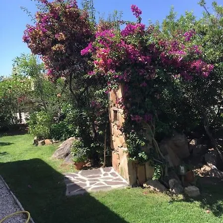 Villa Silvia - Vista Mare A Capo Coda Cavallo