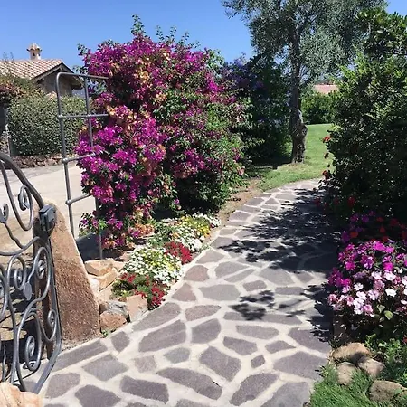 Silvia - Vista Mare A Capo Coda Cavallo